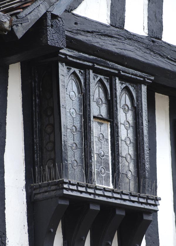Tudor window
